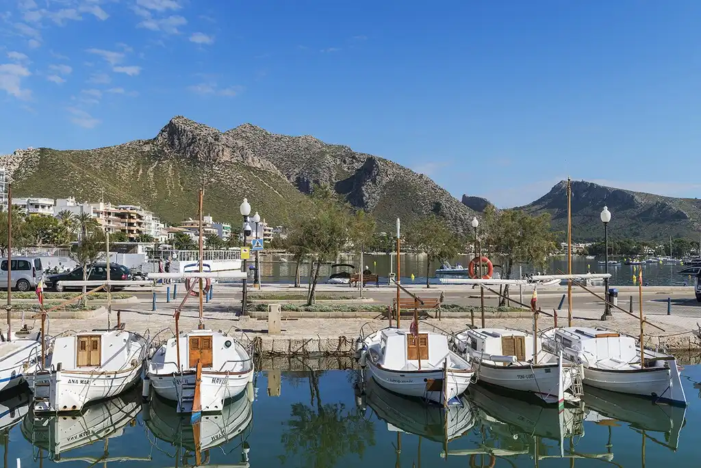 Casa rústica con jardín en venta en Port de Pollença, imagen 27