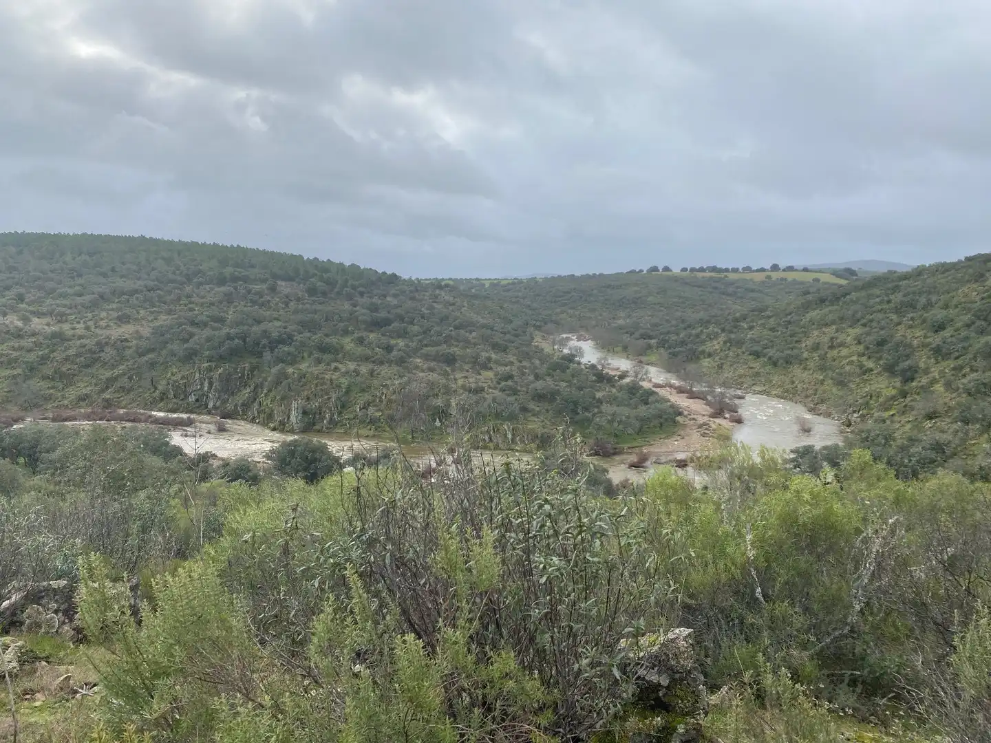 Terreno en venta en Anchuras
