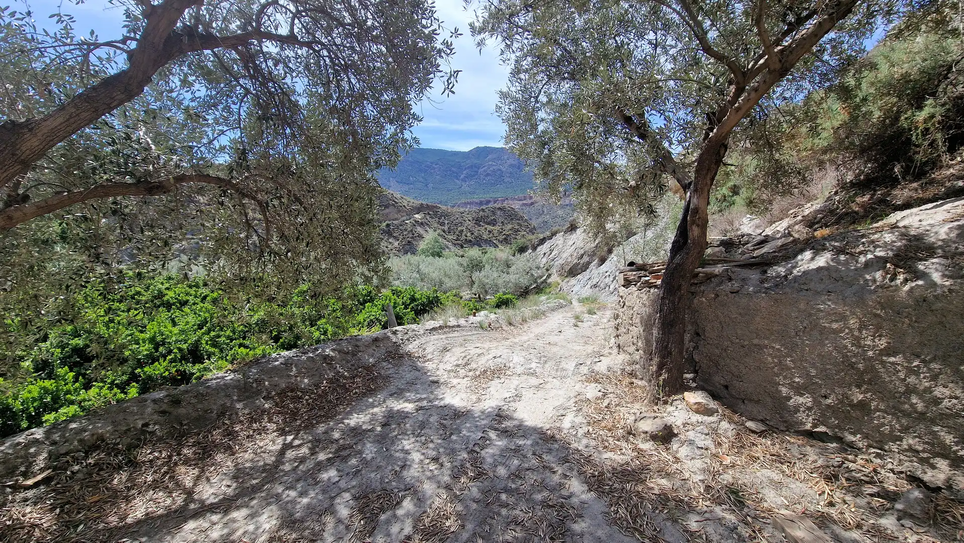 Vista exterior de Finca rústica en venda en Canjáyar amb Jardí privat i Moblat
