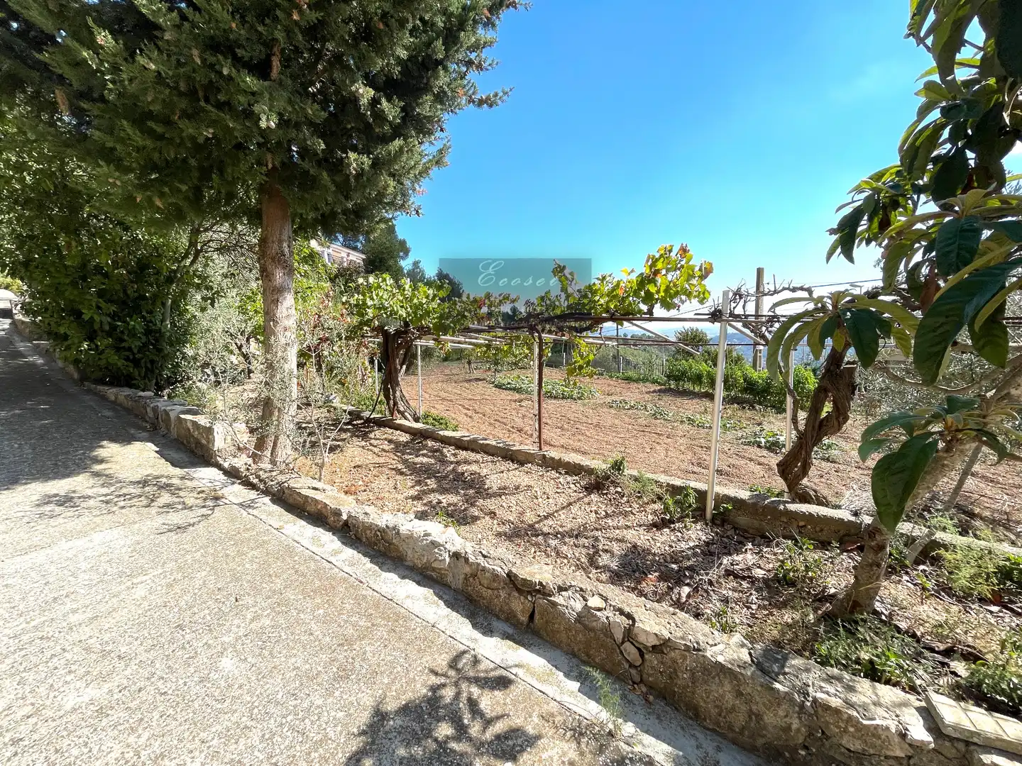 Villa con terrazza in vendita a Cervelló, imagen 40