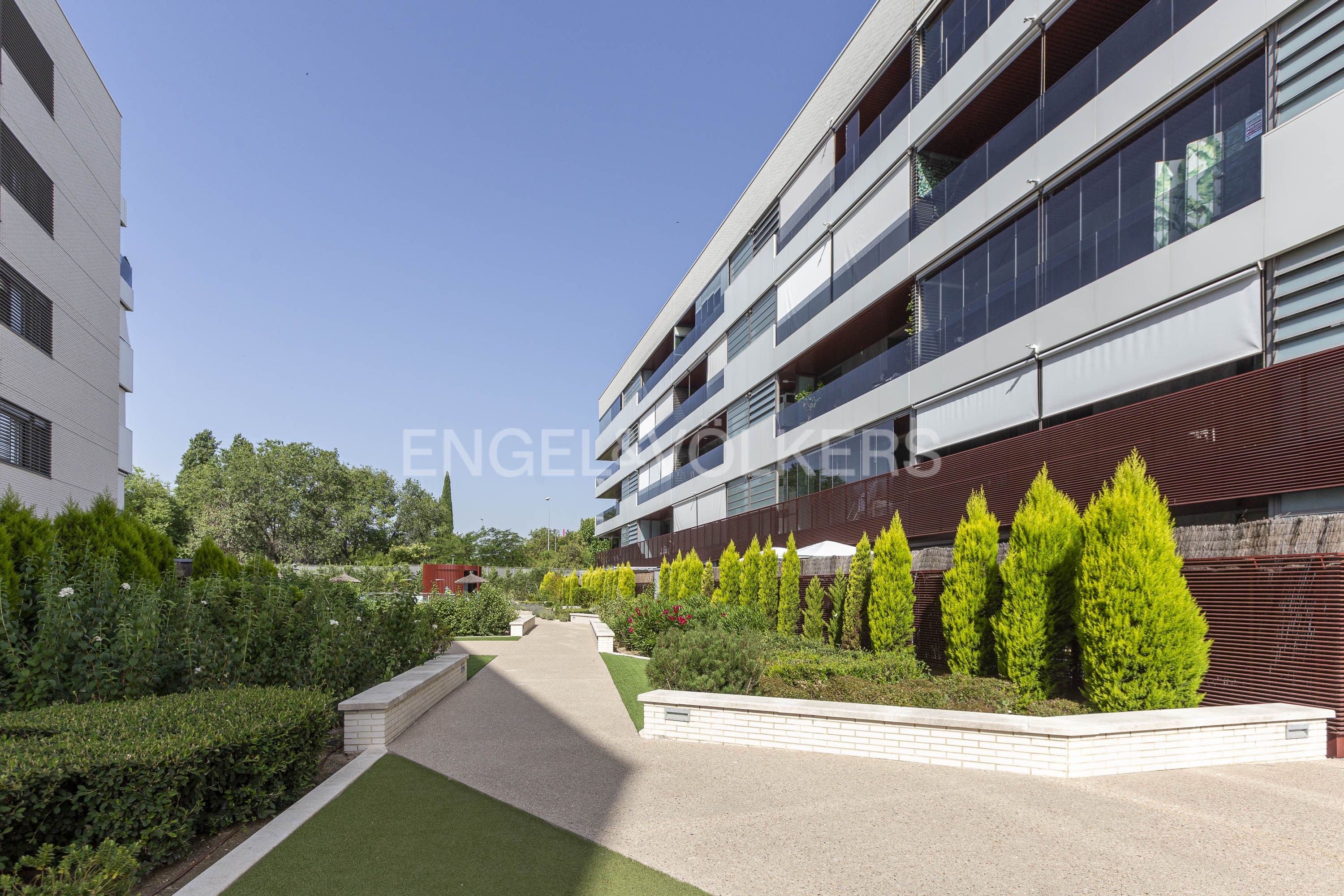 Vista exterior de Apartament de lloguer en La Moraleja amb Aire condicionat, Calefacció i Jardí privat
