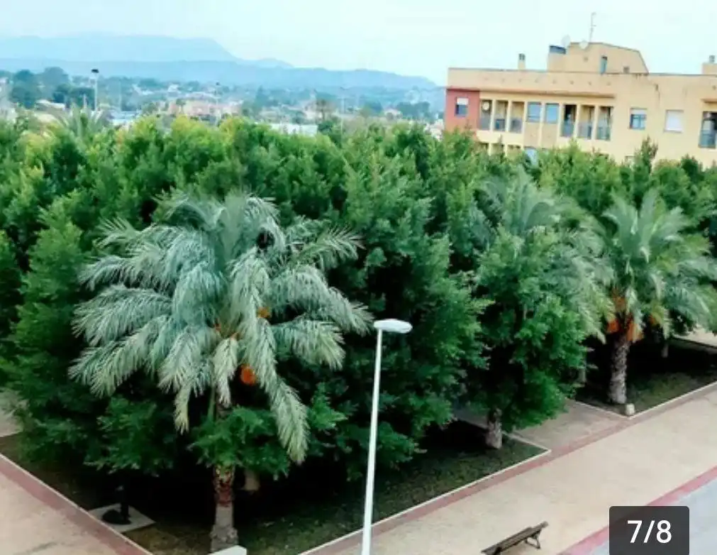 Vista exterior de Pis en venda en Elche / Elx amb Balcó