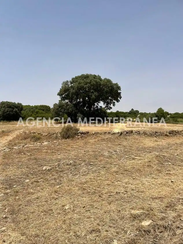 Finca rústica en venda en Almansa amb Calefacció, Jardí privat i Terrassa