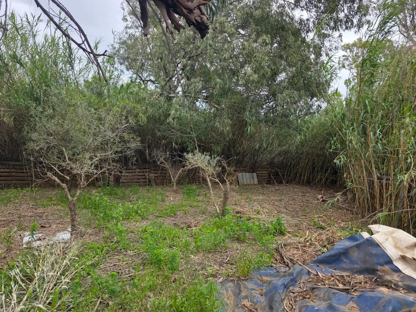 Terreno en venta en Amposta