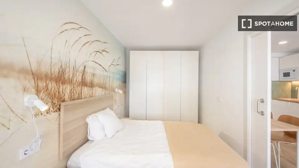 Flat for rent in Madrid, Madrid
