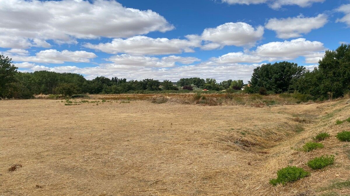 Residencial en venda en Villamuriel de Cerrato