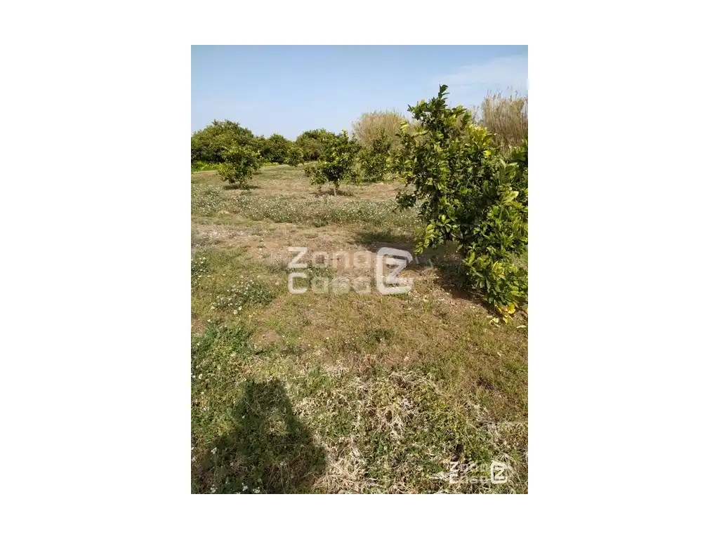 Country house for sale in Algemesí, imagen 5