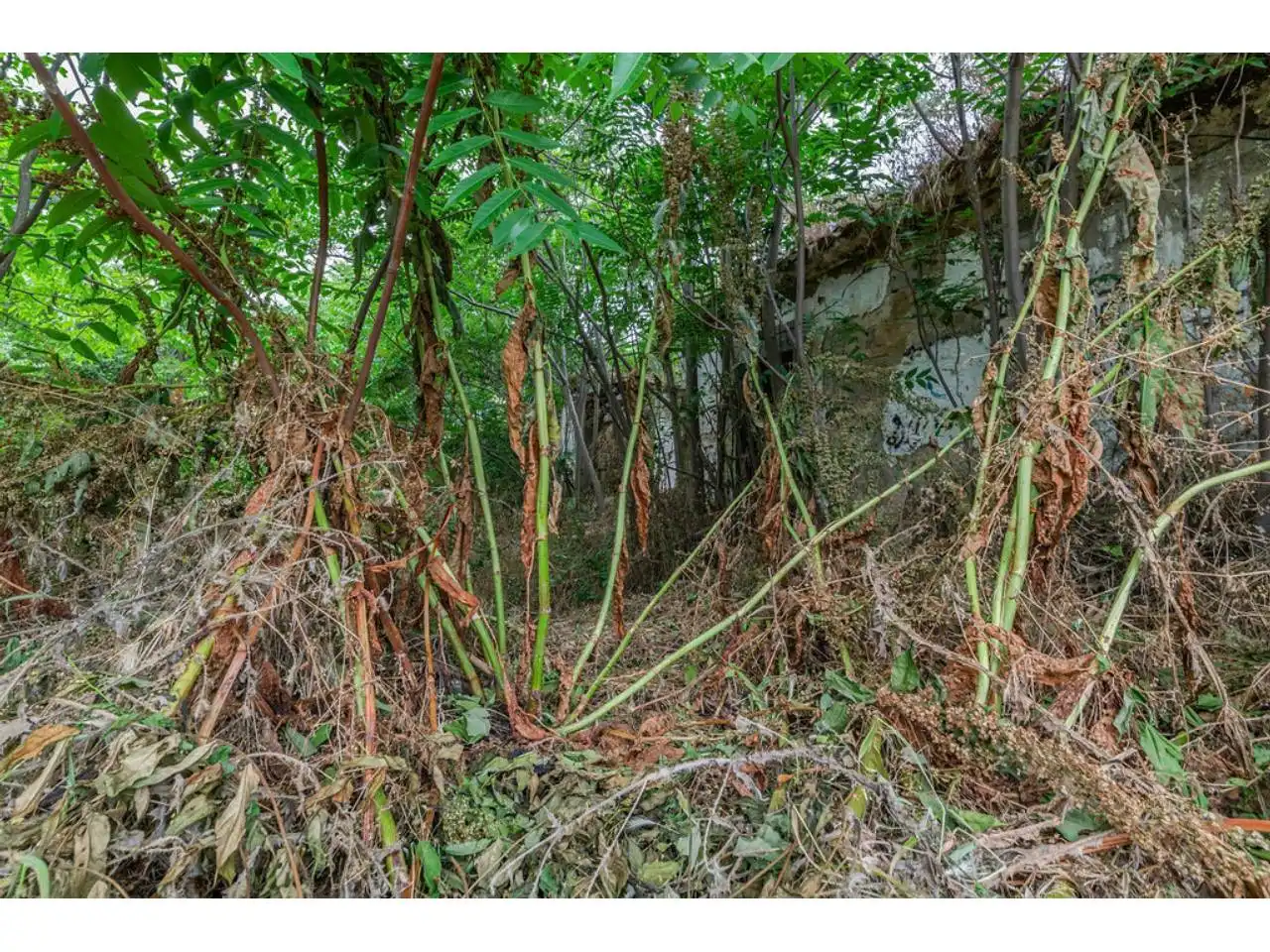 Chalet en venta en Villalba Pueblo, imagen 6