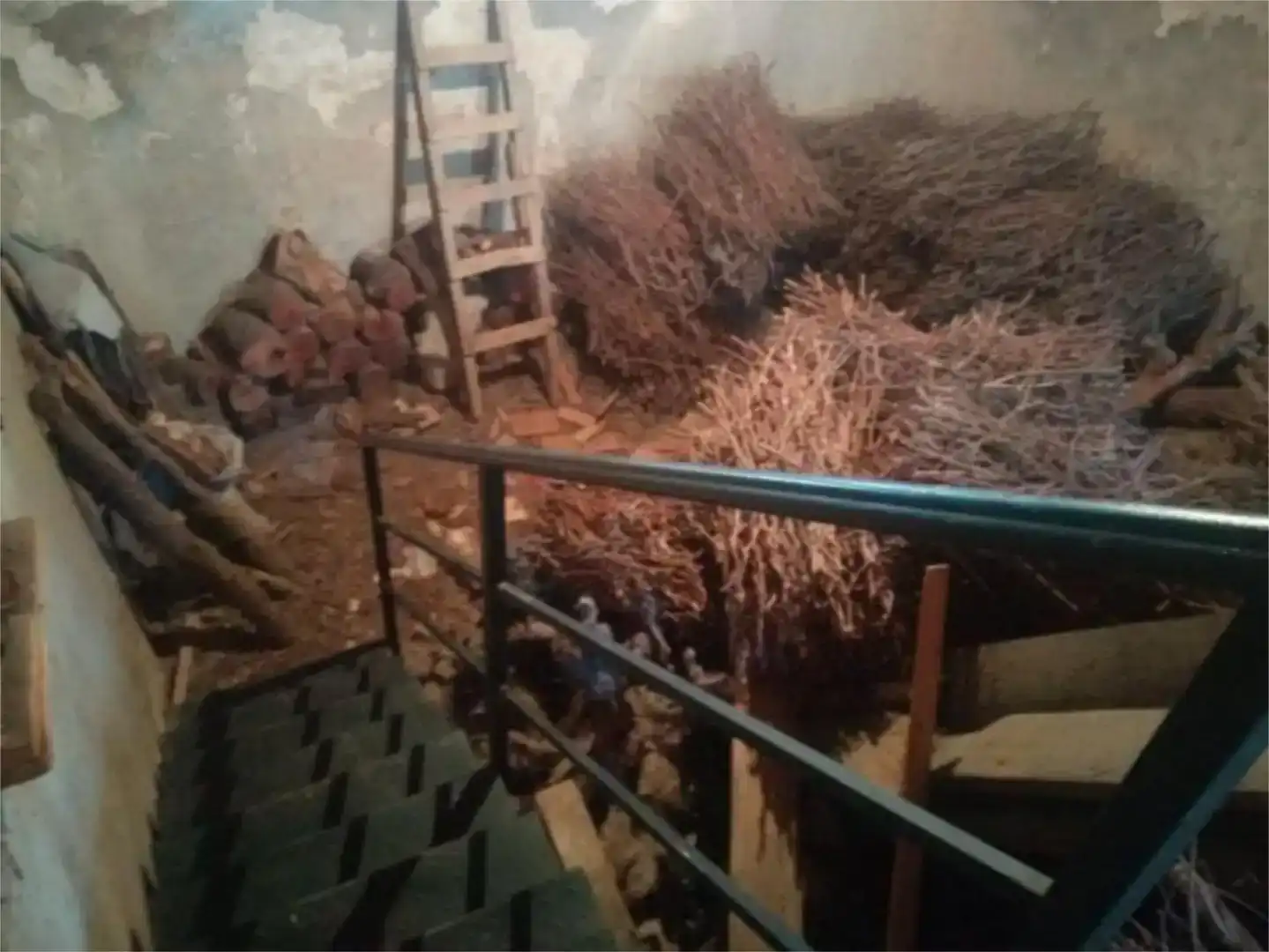 Finca rústica en venta en Zazuar