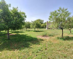 Land for sale in Orbaneja Riopico