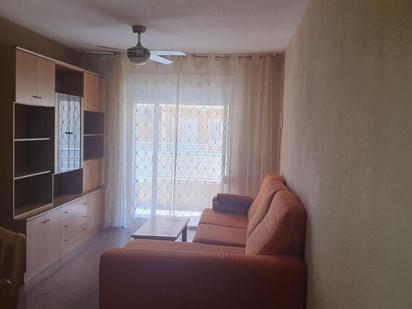 Sala d'estar de Apartament en venda en Guardamar del Segura amb Terrassa