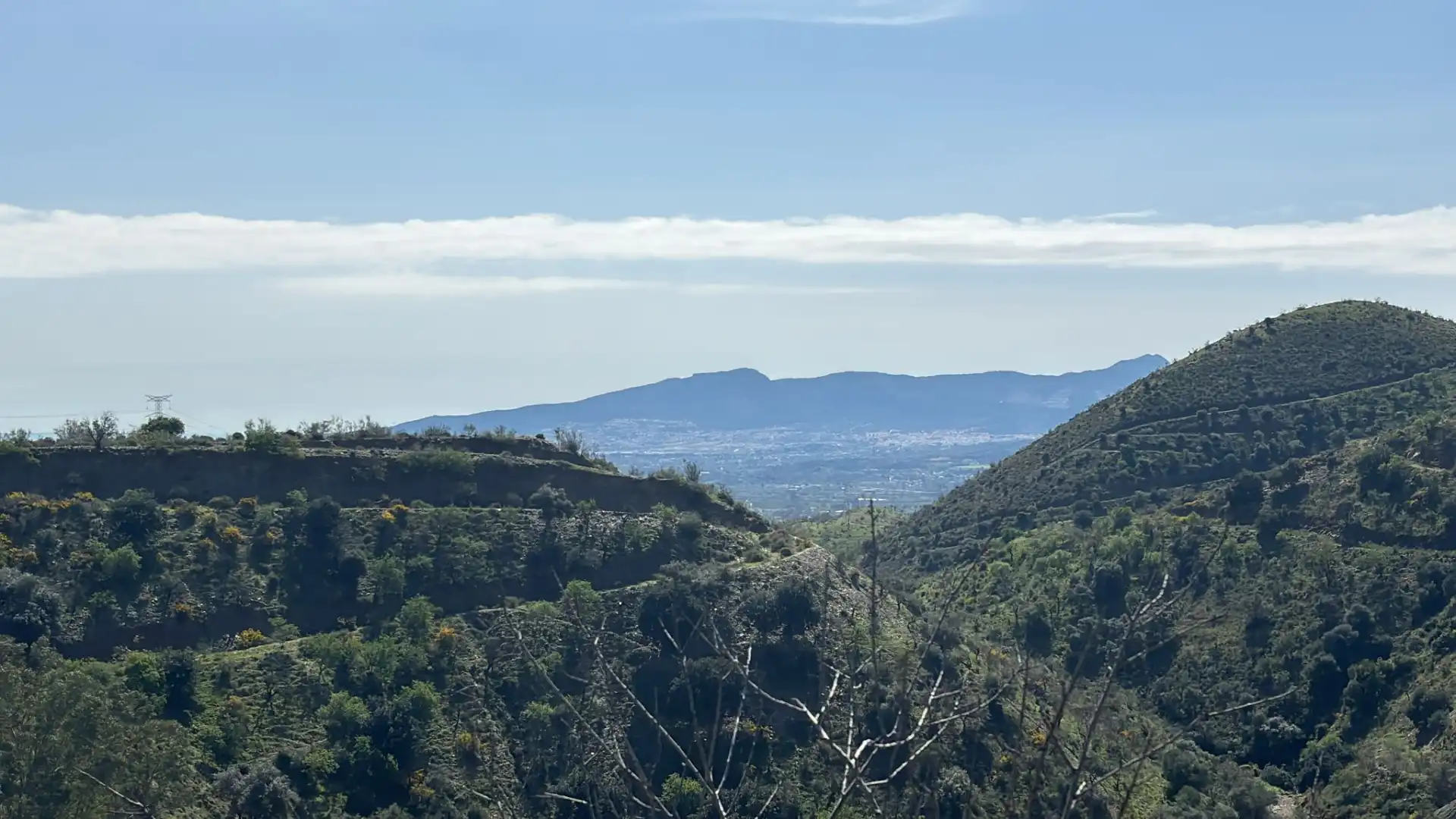 Vista exterior de Terreno en venta en Cártama