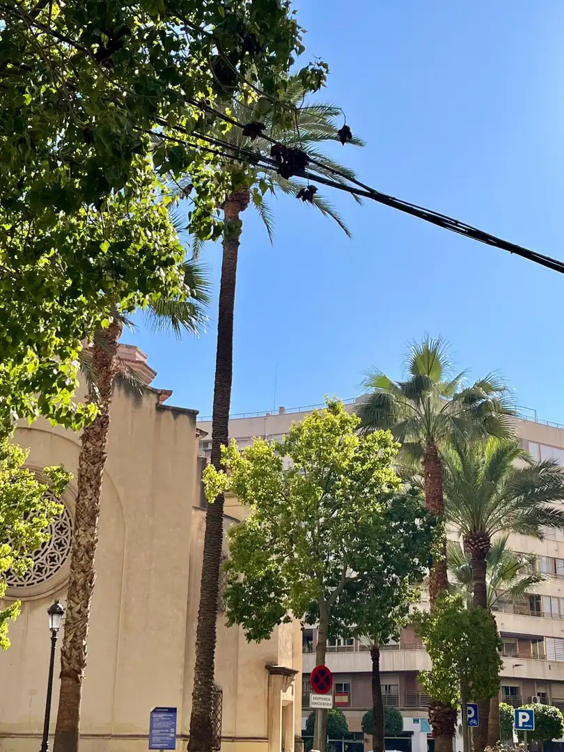 Individuel à vendre à Elche ciudad, imagen 4