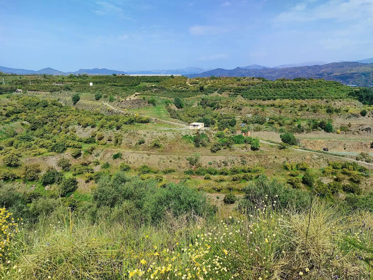 Terreny rústic en venda a Vélez-Málaga ciudad, imagen 16