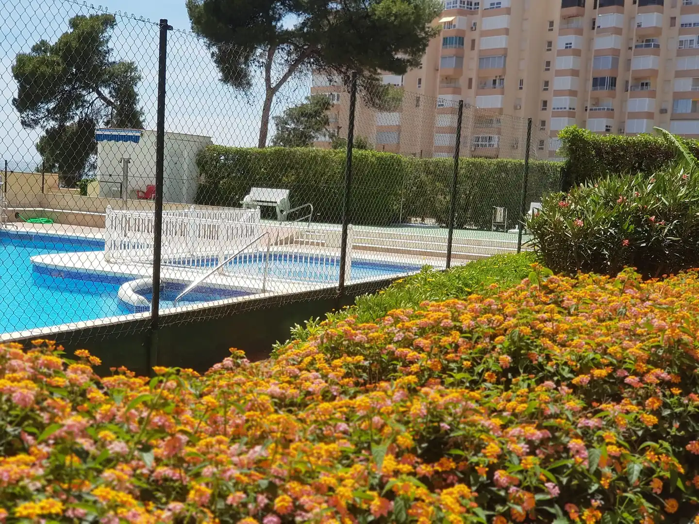 Piscina de Estudi de lloguer en Torrox amb Aire condicionat, Calefacció i Moblat
