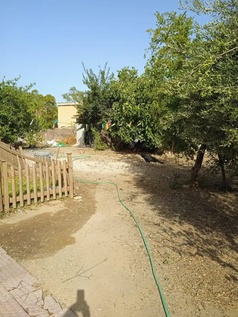 Xalet amb jardí en venda a Calle Sócrates 22, imagen 18