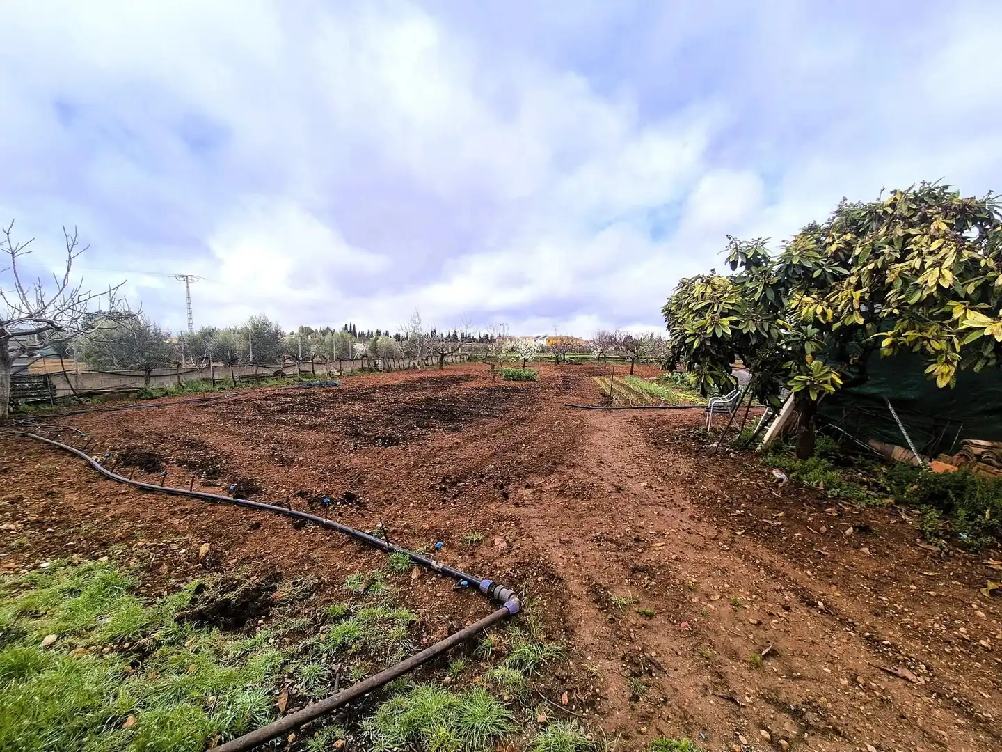 House with pool for sale in Moraleda de Zafayona, imagen 3