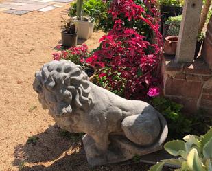 Jardí de Finca rústica en venda en Cabrils amb Terrassa