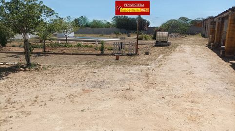 Foto 5 de Finca rústica en venda a Oromana, Alcalá de Guadaira