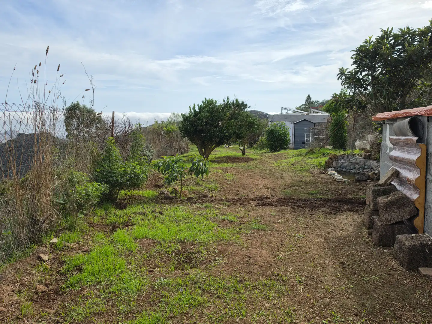 Finca rústica en venta en El Palmar