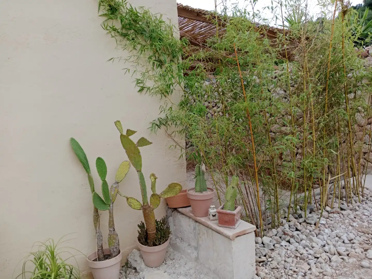 Jardí de Casa o xalet en venda en Petra amb Jardí privat, Terrassa i Moblat
