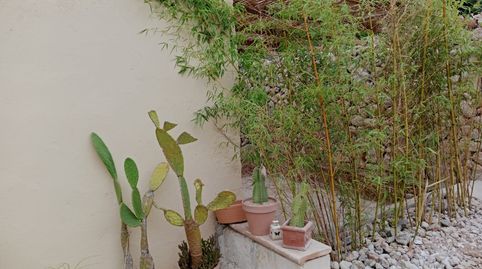 Foto 5 de Casa o xalet en venda a N/a, -1, Petra, Illes Balears