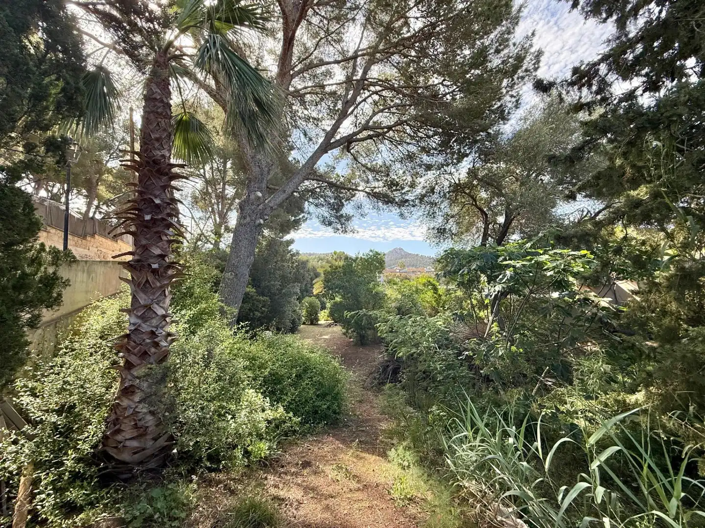 Casa en venta en Port d'Andratx, imagen 31