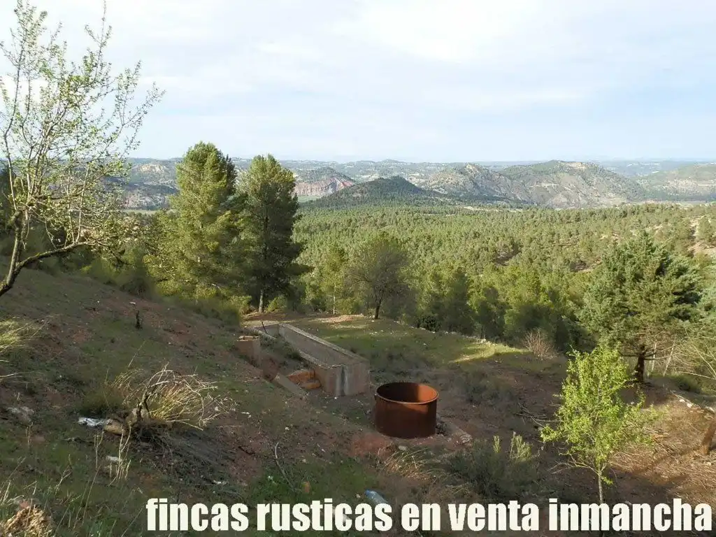 Rural land for sale in Requena, imagen 8