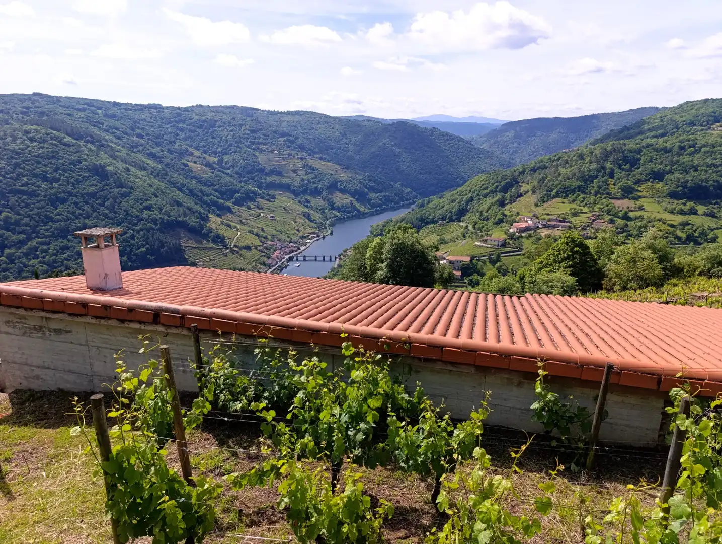 Country homes for sale in Chantada  with Private garden, Storage room and Furnished