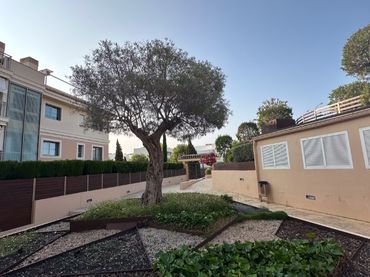 Penthouse mit Pool zum Verkauf in Son Puig 4