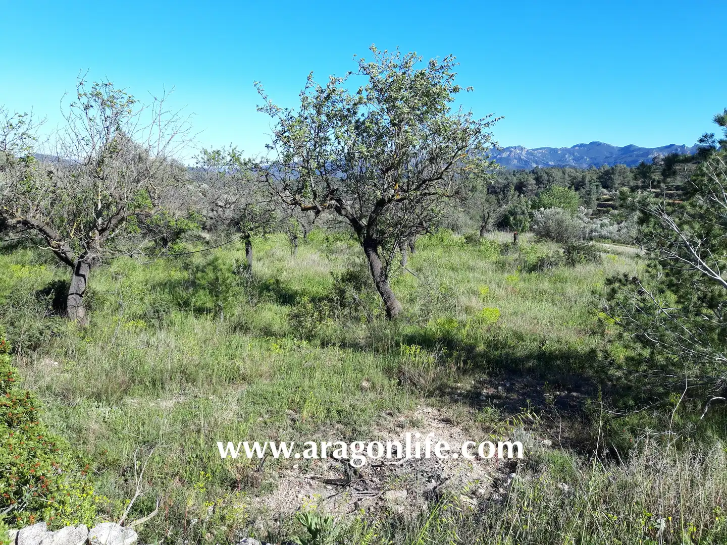 Rural land for sale in C-43