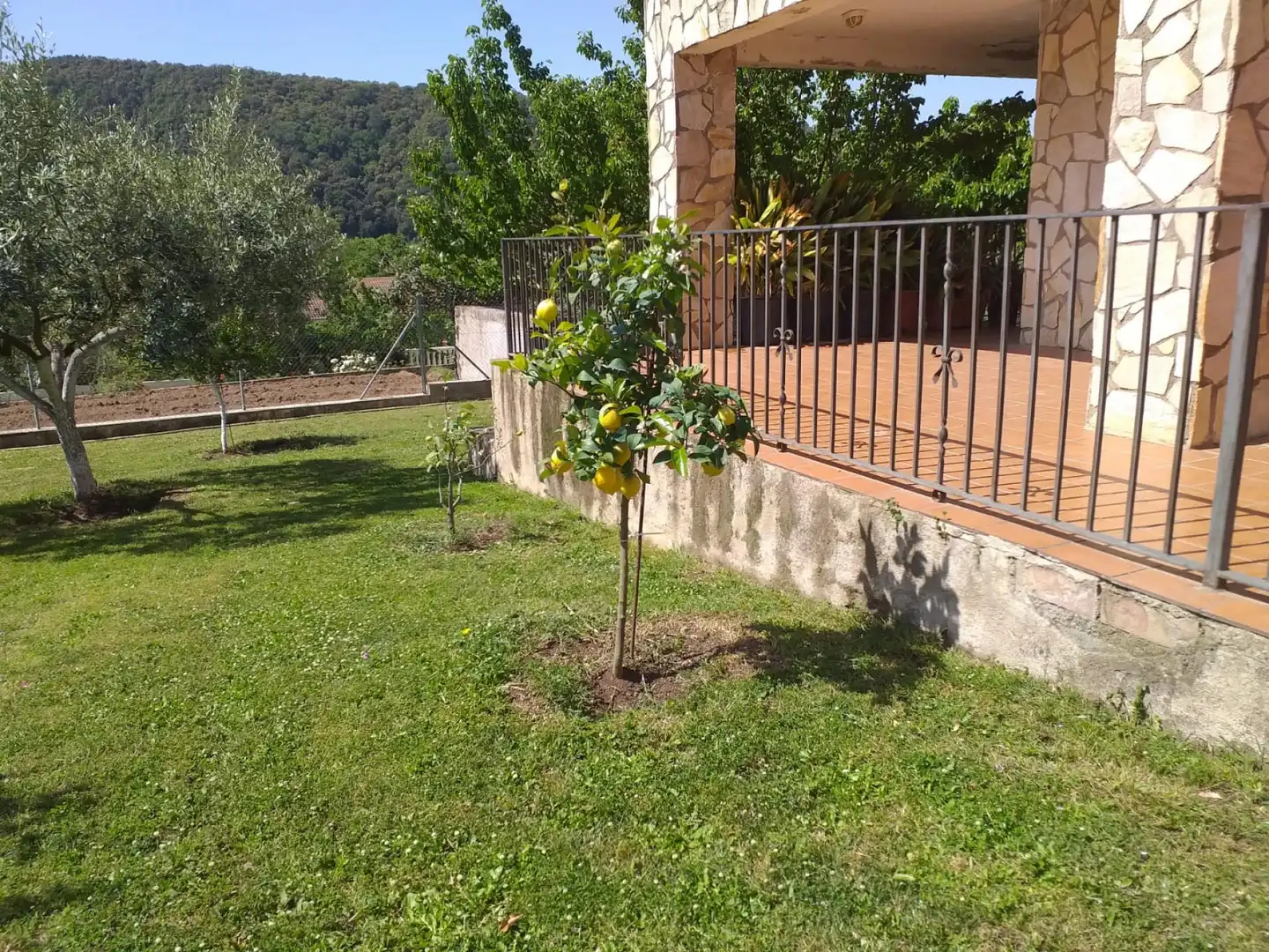 Villa mit Garten zum Verkauf in Sant Feliu de Buixalleu, imagen 25