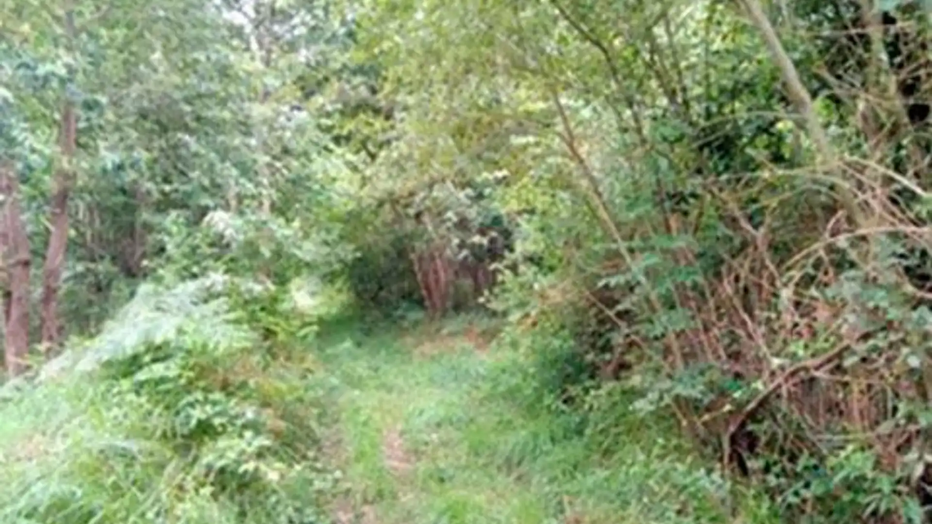 Residencial en venda en Zamudio