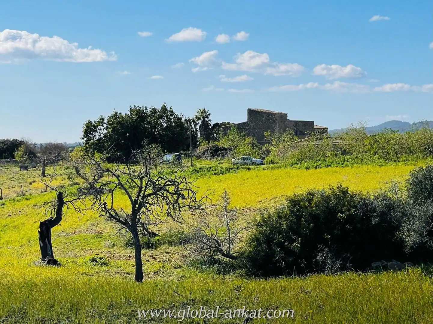 Finca rústica en venta en Manacor