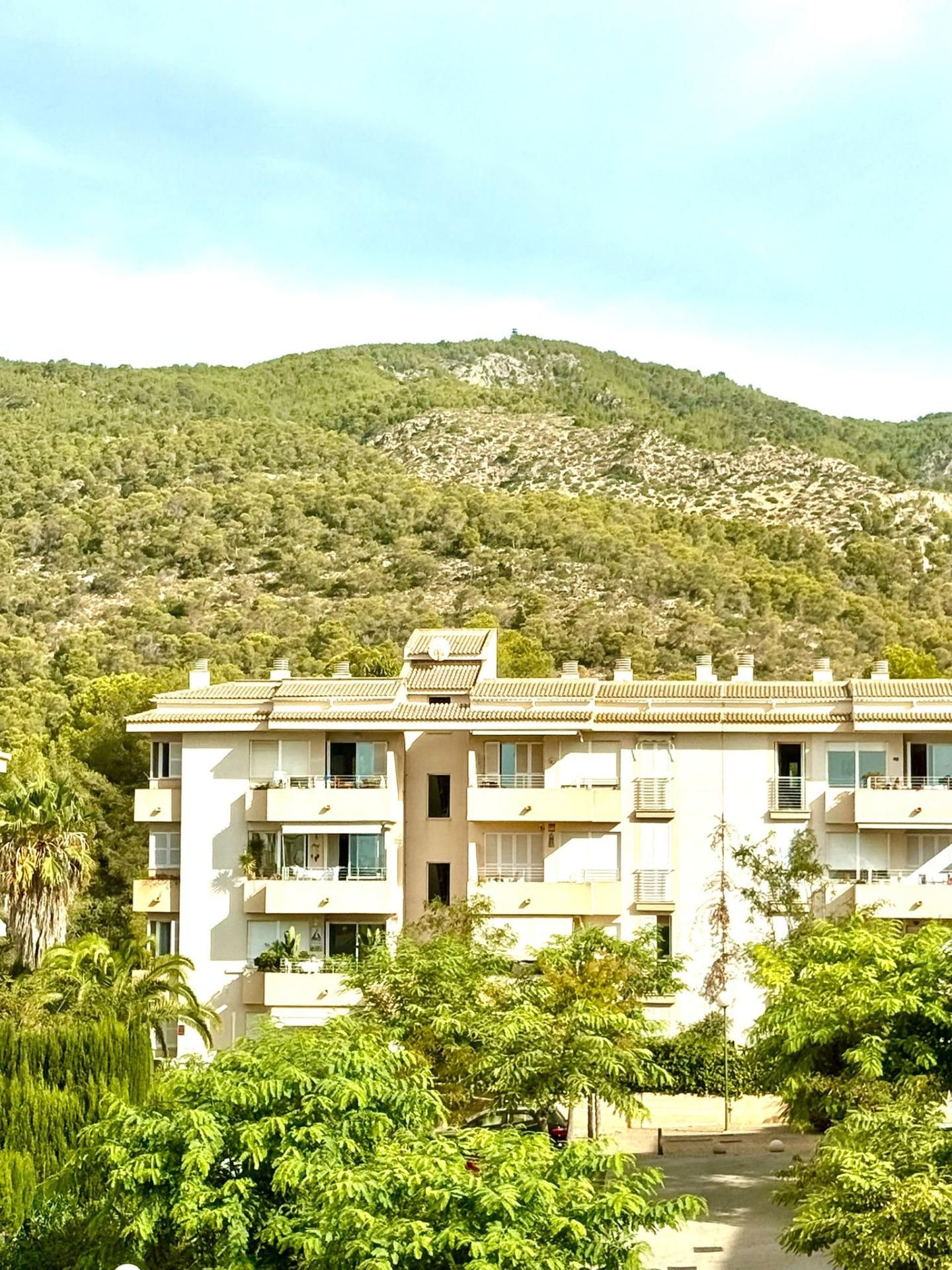Vista exterior de Piso en venta en Calvià con Terraza y Balcón