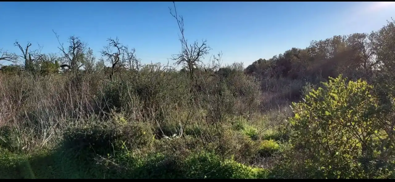 Terreny en venda en Llucmajor