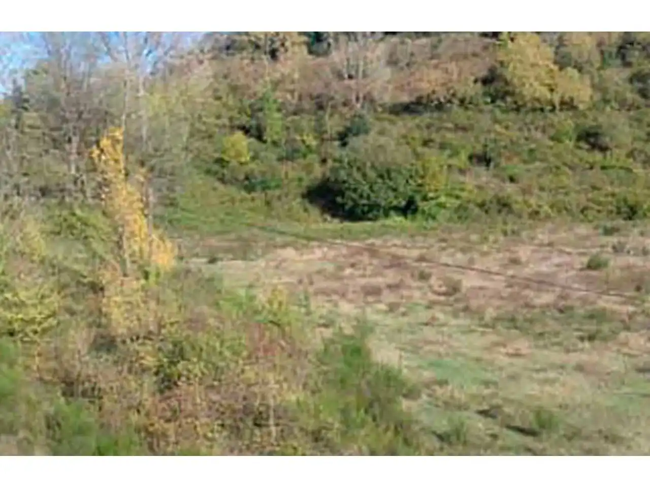 Terrain rustique à vendre à Calle PTDA LES FORQUES, imagen 4