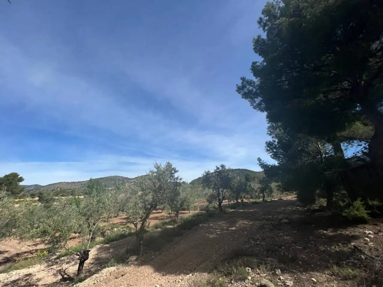 Chalet con jardín en venta en Calle Poligono, imagen 135