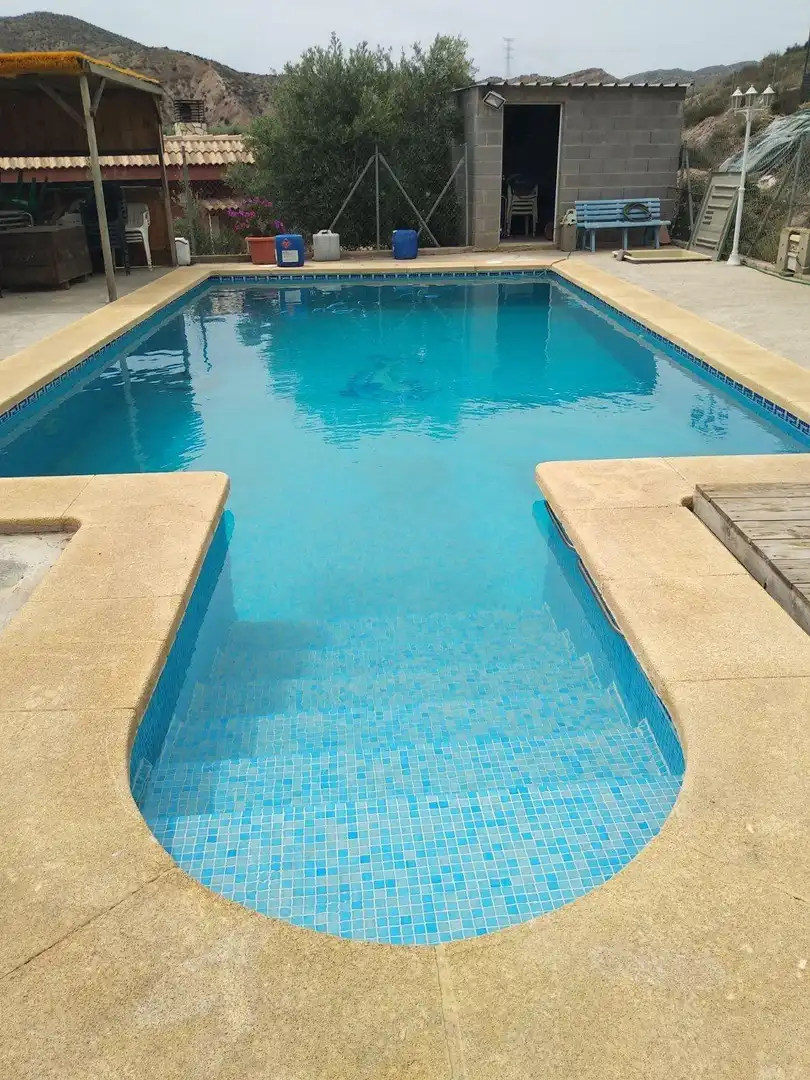 Swimming pool of Country homes for sale in Gádor  with Private garden, Terrace and Swimming Pool