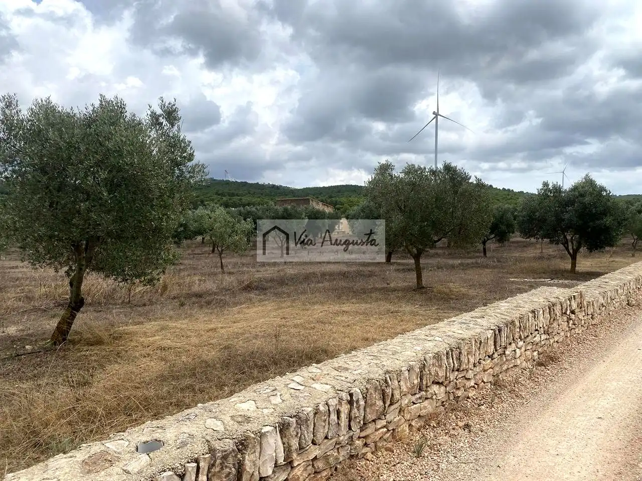 Terreno rustico in vendita a Burga, imagen 14