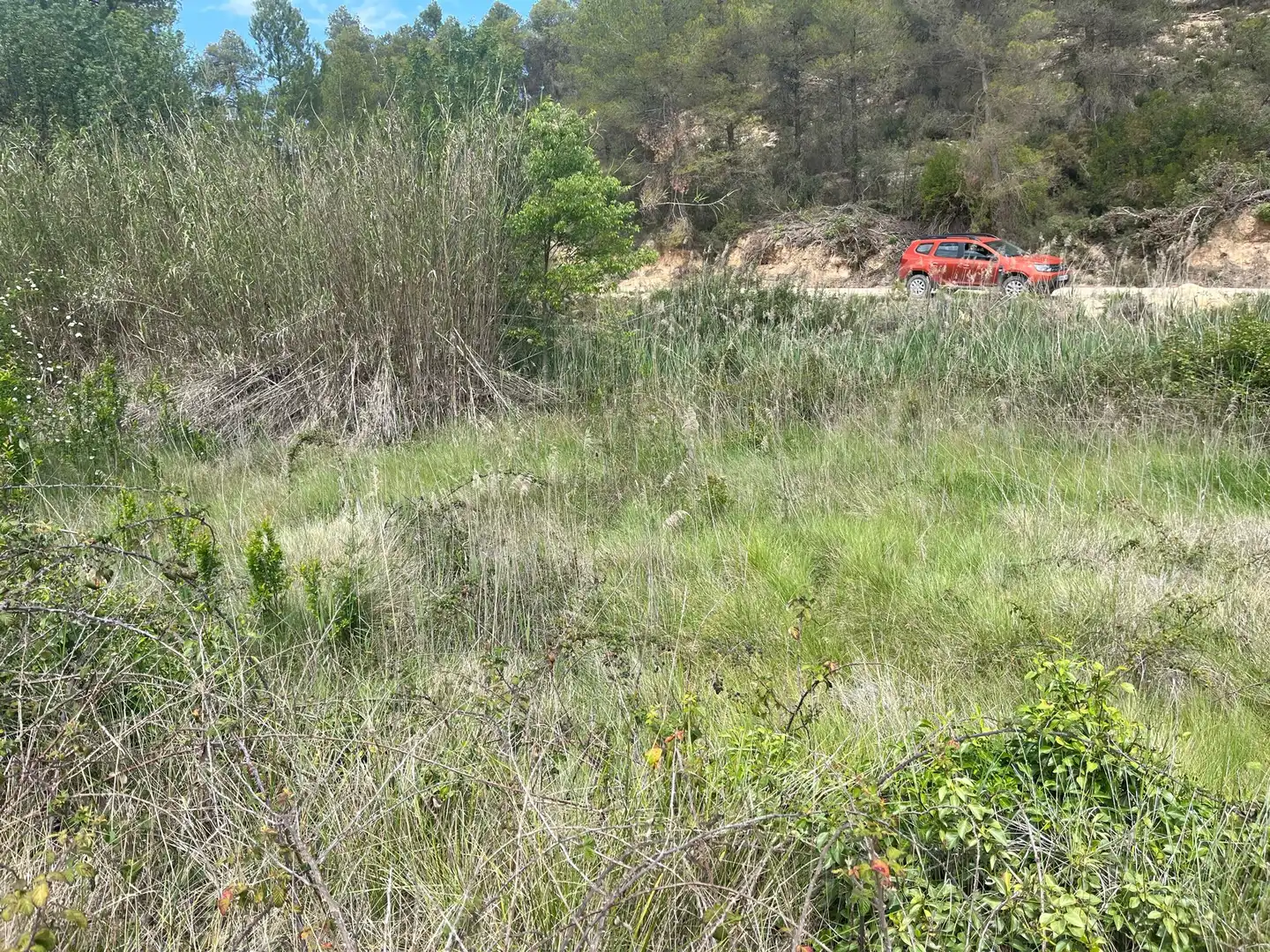 Terreno en venta en Cretas