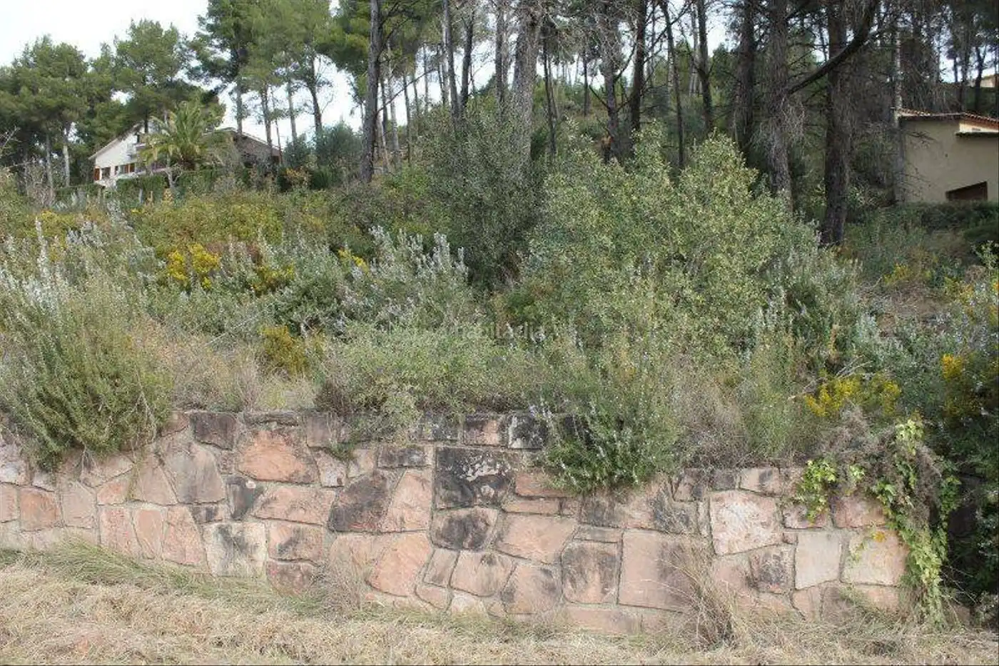 Terreny residencial en venda a Carrer Font de l'Alzinella 38, imagen 3