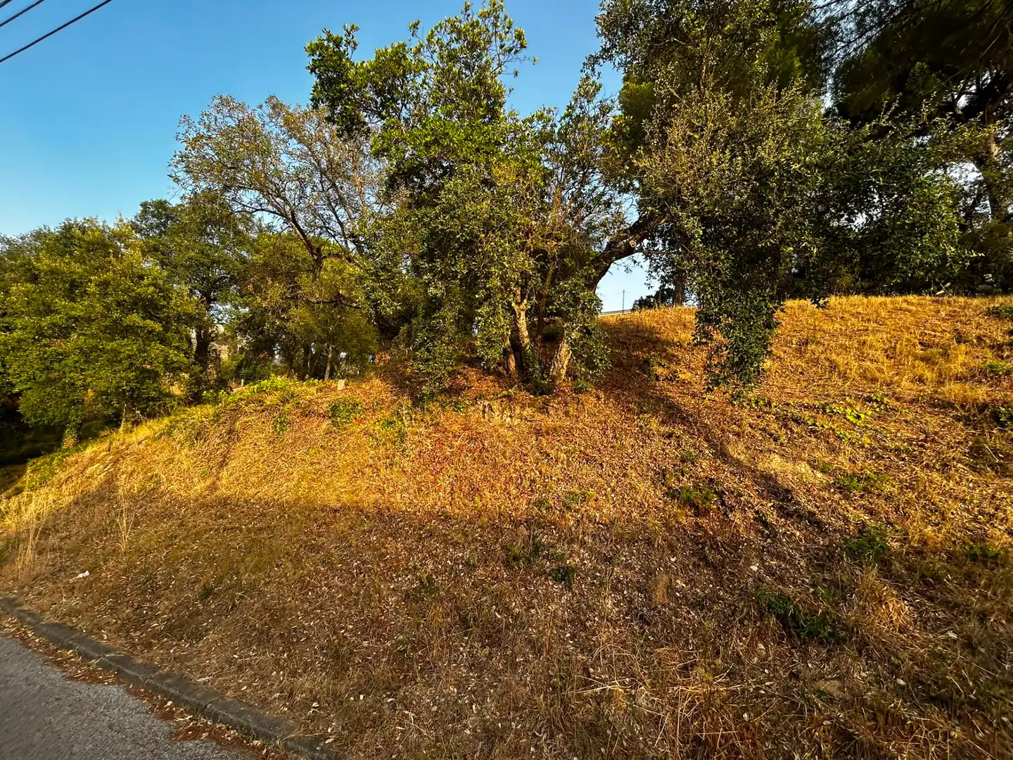 Terreno residencial en venta en Mas Mora - Sant Daniel, imagen 2
