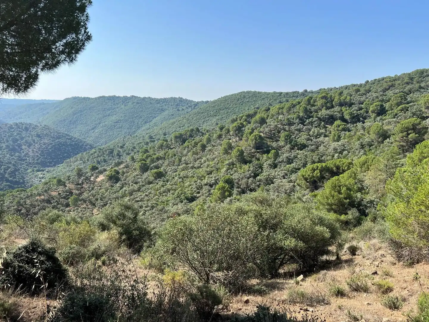 Grundstücke und Bauplätze zum Verkauf in Sureste, imagen 8