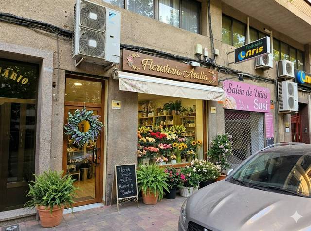 Local comercial en Alquiler en Avenida de Teodomiro en Orihuela ciudad