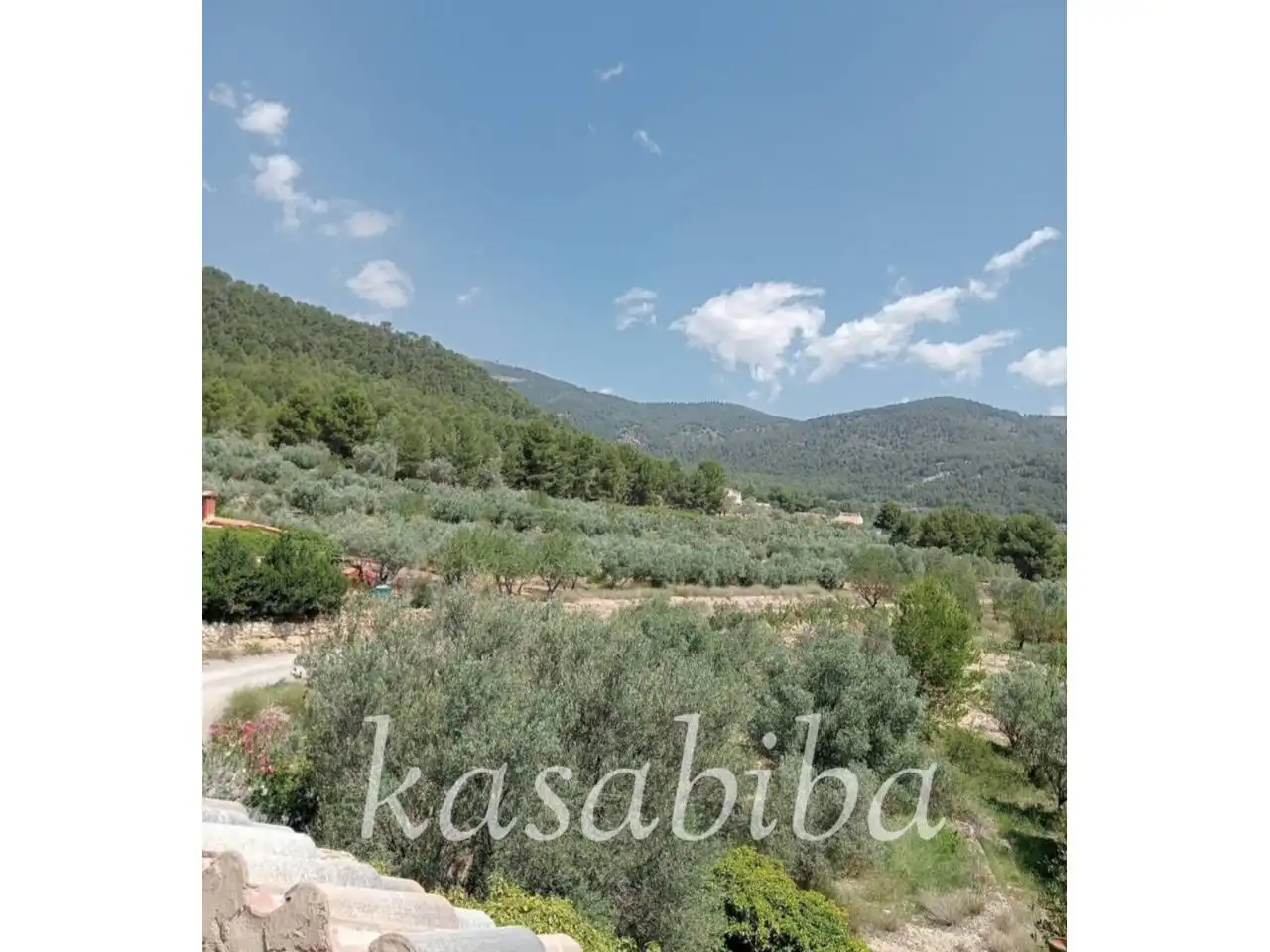Jardí de Finca rústica en venda en Andilla amb Terrassa