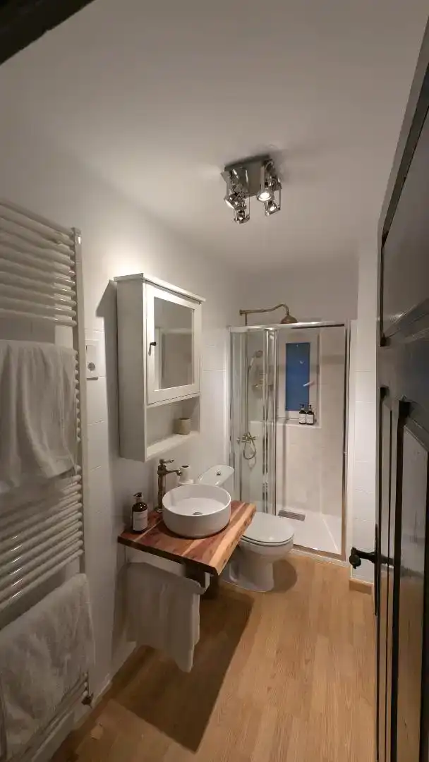 Bathroom of Flat for sale in Bielsa  with Parquet flooring, Storage room and Furnished