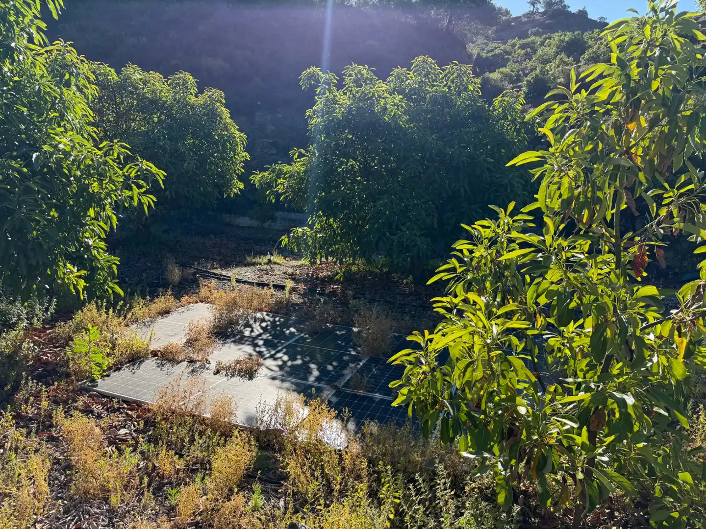 Finca rústica en venta en Yunquera con Jardín privado, Piscina y Amueblado