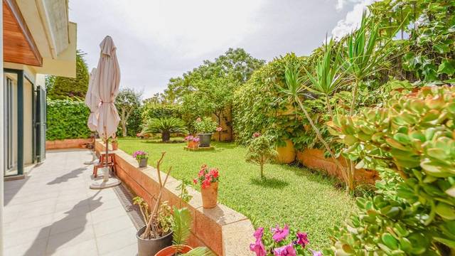 Planta baja en Venta en Sa Teulera