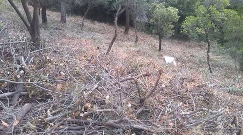 Terreno en venta en Vacarisses.., immagine 5